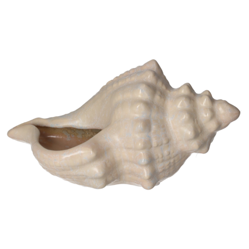 CONCHIGLIA IN CERAMICA