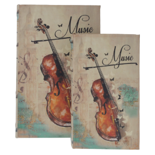 COPPIA DI SCATOLE VIOLIN