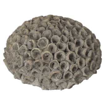 CORALLI DECORATIVI IN RESINA