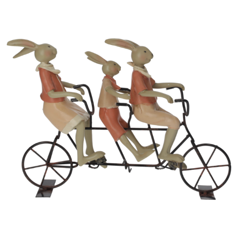 FAMIGLIA CONIGLI IN TANDEM