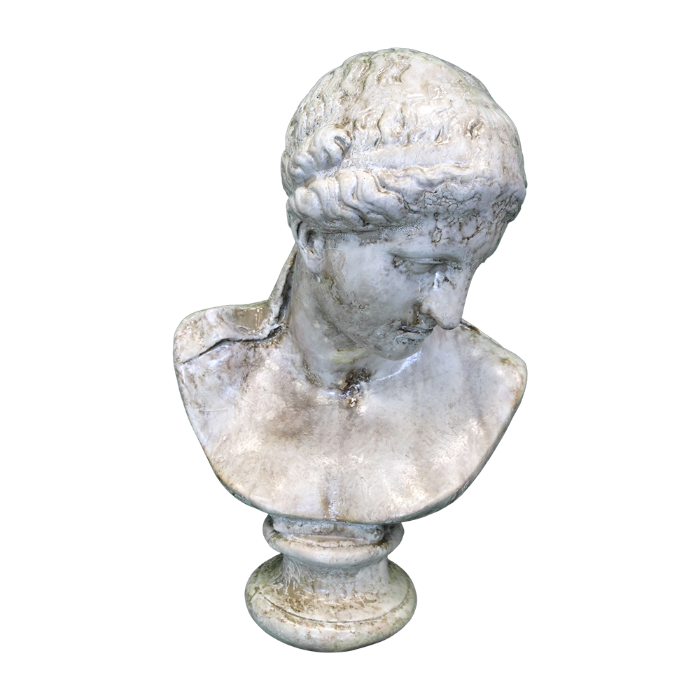 BUSTO DONNA