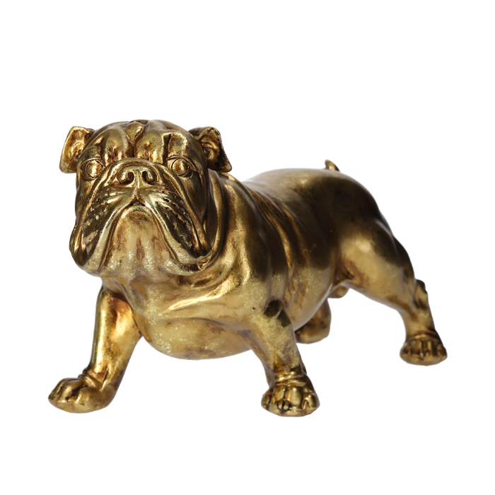 BULLDOG DORATO IN RESINA