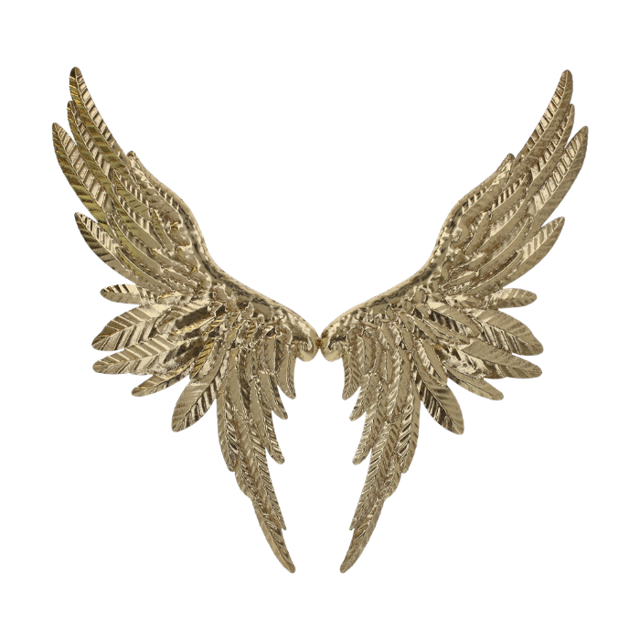 ALI DORATE IN LATTA DA APPENDERE