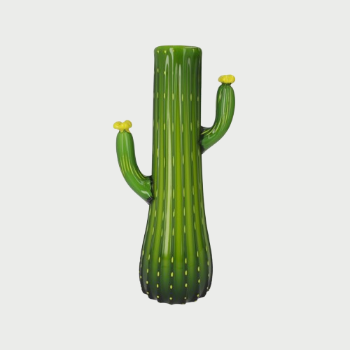 CACTUS IN VETRO